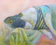 「Sleeping dogⅠ」