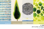 4人展2011DM